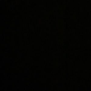 Meet your Posher, Donovan